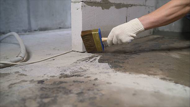 SJ Waterproofing Pros Waterproofing coverage map for Anoka, MN and surrounding area